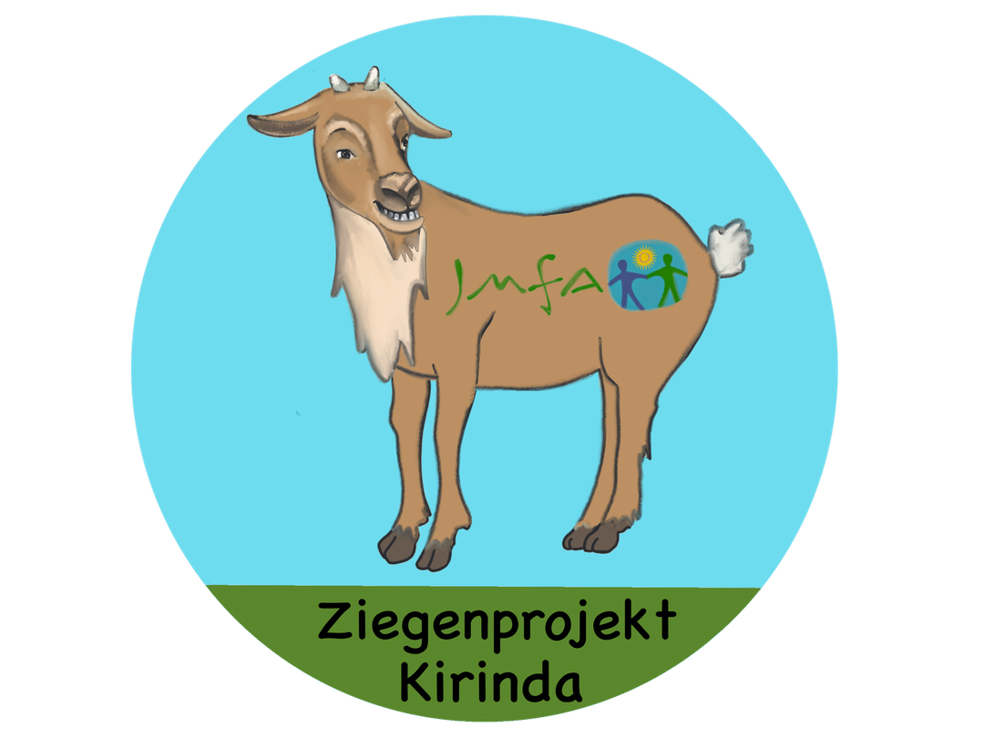 Runder Button mit Ziege und der Aufschrift Ziegenprojekt Kirinda