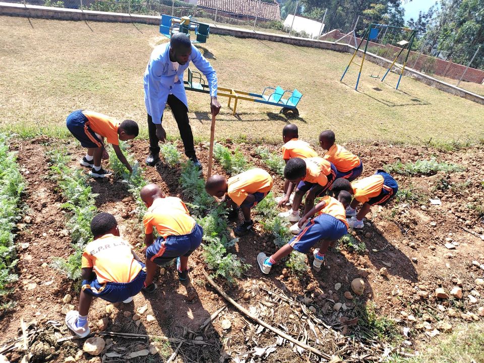 Kindergartenkinder in orangen Shirts setzen Pflänzchen in ein Beet, ein Erzieher hilft mit der Hacke